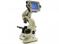 Digital microscopes